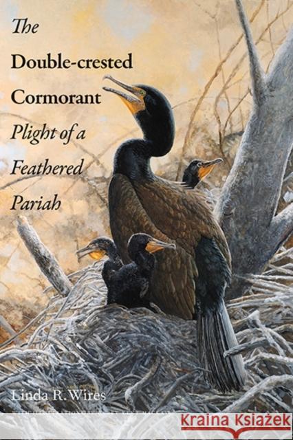 Double-Crested Cormorant: Plight of a Feathered Pariah Wires, Linda R. 9780300187113 Yale University Press