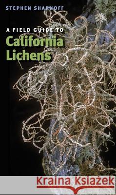 A Field Guide to California Lichens Stephen Sharnoff Peter H. Raven 9780300195002 Yale University Press