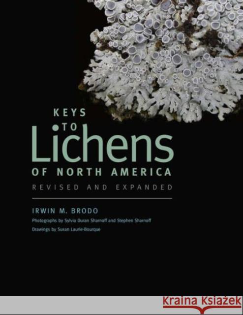 Keys to Lichens of North America: Revised and Expanded Brodo, Irwin M.; Sharnoff, Sylvia Duran; Sharnoff, Stephen 9780300195736 John Wiley & Sons
