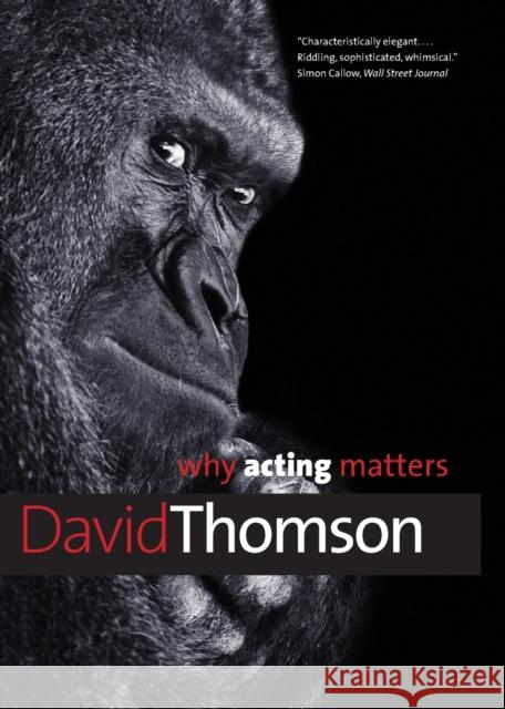 Why Acting Matters David Thomson 9780300195743 Yale University Press