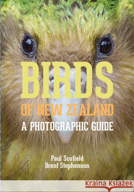 Birds of New Zealand: A Photographic Guide Scofield, Paul 9780300196825