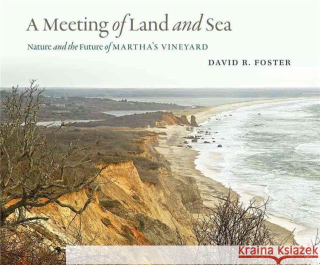 A Meeting of Land and Sea: Nature and the Future of Martha's Vineyard Foster, David R.; Hall, Brian R. 9780300214178 John Wiley & Sons