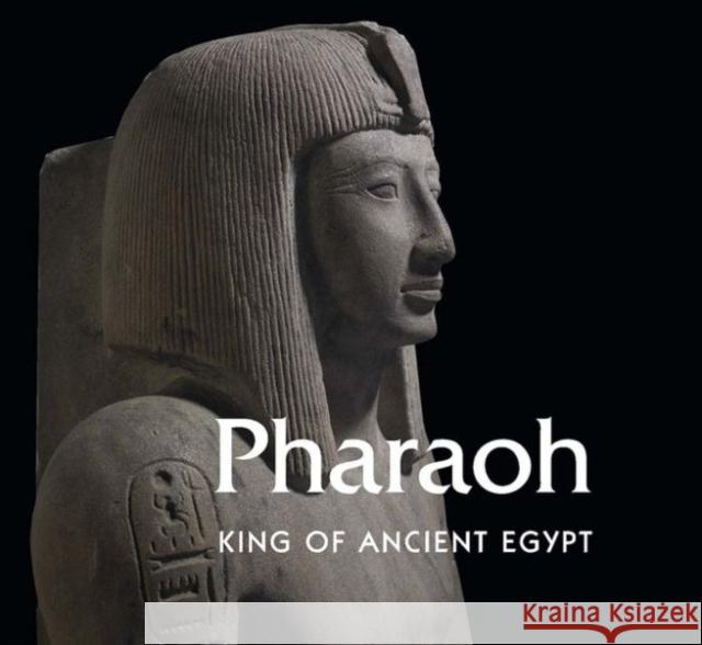 Pharaoh: King of Ancient Egypt Vandenbeusch, Marie; Semet, Aude; Maitland, Margaret 9780300218381 John Wiley & Sons