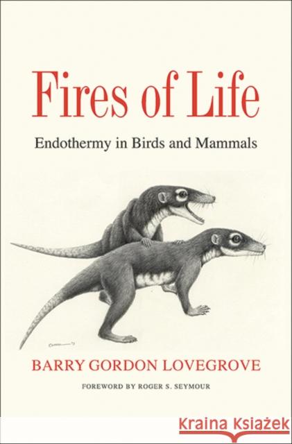 Fires of Life: Endothermy in Birds and Mammals Barry Gordon Lovegrove Roger S. Seymour 9780300227161 Yale University Press
