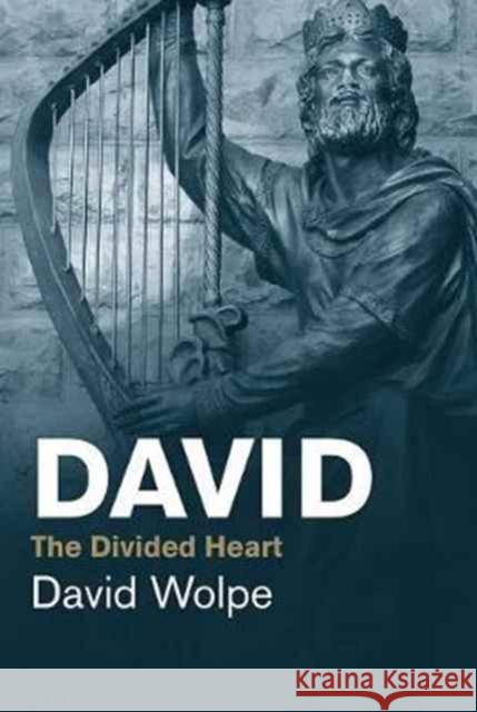 David: The Divided Heart Wolpe, David 9780300230741