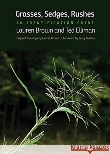 Grasses, Sedges, Rushes: An Identification Guide Lauren Brown Ted Elliman Jerry Jenkins 9780300236774 Yale University Press