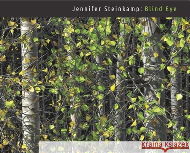 Jennifer Steinkamp: Blind Eye Lisa Saltzman 9780300237054