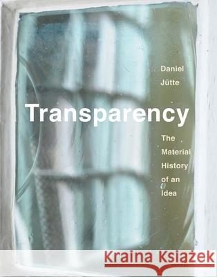 Transparency: The Material History of an Idea Jutte, Daniel 9780300237245