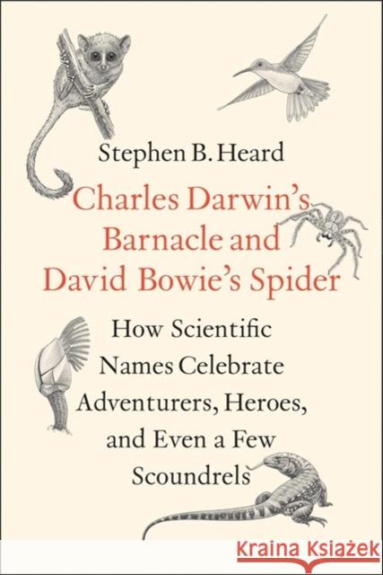 Charles Darwin's Barnacle and David Bowie's Spider: How Scientific Names Celebrate Adventurers, Heroes, and Even a Few Scoundrels Stephen B. Heard Emily S. Damstra 9780300238280 Yale University Press