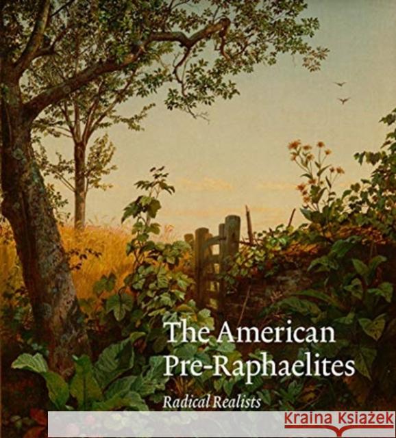 The American Pre-Raphaelites: Radical Realists Linda S. Ferber Nancy K. Anderson Tim Barringer 9780300242522 Yale University Press