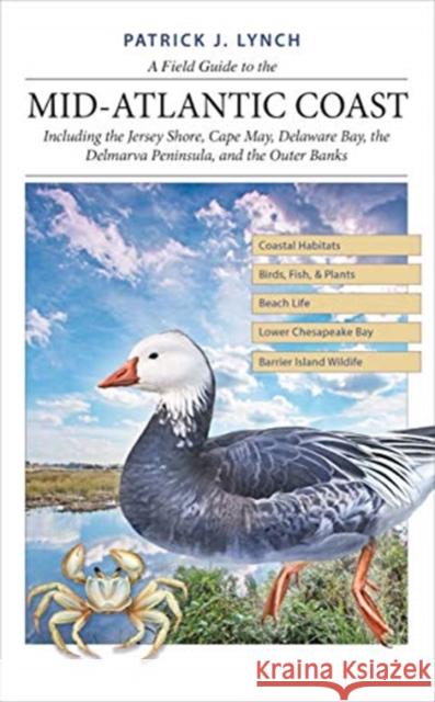 A Field Guide to the Mid-Atlantic Coast: Including the Jersey Shore, Cape May, Delaware Bay, the Delmarva Peninsula, and the Outer Banks Patrick J. Lynch 9780300246469