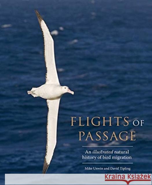 Flights of Passage: An Illustrated Natural History of Bird Migration Unwin, Mike 9780300247442