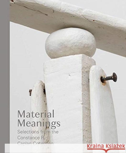 Material Meanings: Selections from the Constance R. Caplan Collection Matthew S. Witkovsky Yve-Alain Bois 9780300250817 Art Institute of Chicago
