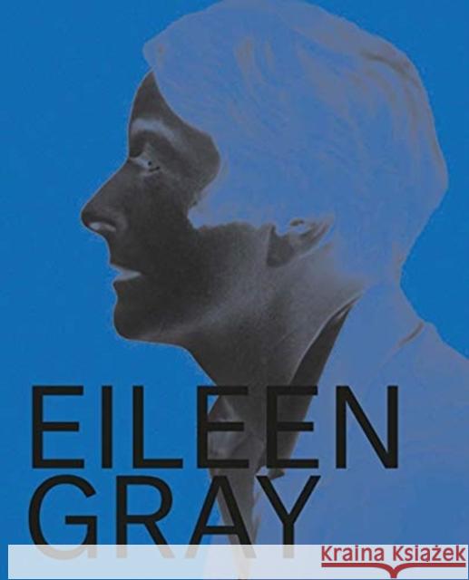Eileen Gray, Designer and Architect Pitiot, Cloe 9780300251067 Yale University Press