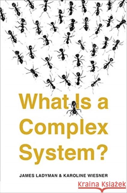 What Is a Complex System? J. Ladyman K. Wiesner 9780300251104 Yale University Press