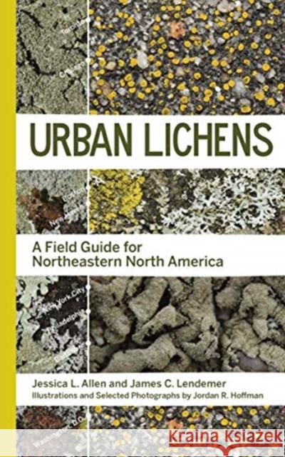 Urban Lichens: A Field Guide for Northeastern North America Jessica L. Allen James C. Lendemer Jordan R. Hoffman 9780300252996 Yale University Press