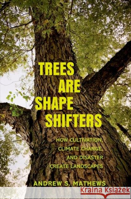 Trees Are Shape Shifters: How Cultivation, Climate Change, and Disaster Create Landscapes Andrew S. Mathews 9780300260380