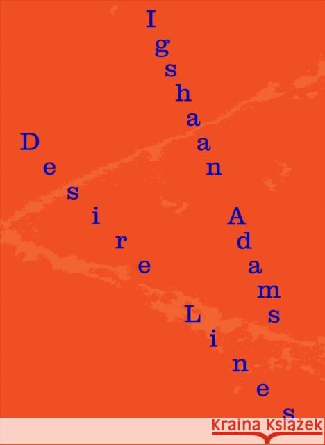 Igshaan Adams: Desire Lines Hendrik Folkerts Lynne Cooke Isaac Facio 9780300263855