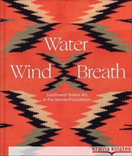 Water, Wind, Breath: Southwest Native Art in the Barnes Foundation Lucy Fowler Williams Antonio Chavarria Tahnibaa Naataanii 9780300264128 Yale University Press