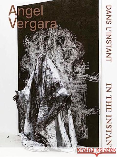 Angel Vergara: In an Instant Gielen, Denis 9780300270167 Yale University Press