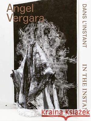 Angel Vergara: In an Instant Gielen, Denis 9780300270167 Yale University Press