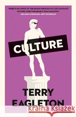 Culture Terry Eagleton 9780300270617 Yale University Press