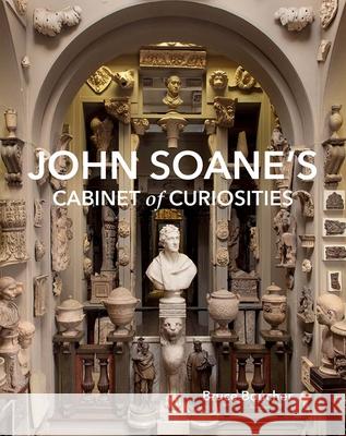 John Soane`s Cabinet of Curiosities - Reflections on an Architect and His Collection  9780300275698 