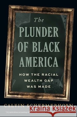 The Plunder of Black America: How the Racial Wealth Gap Was Made Calvin Schermerhorn 9780300292299