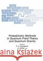 Probabilistic Methods in Quantum Field Theory and Quantum Gravity Poul Henrik Damgaard H. Huffel A. Rosenblum 9780306436024 Plenum Publishing Corporation