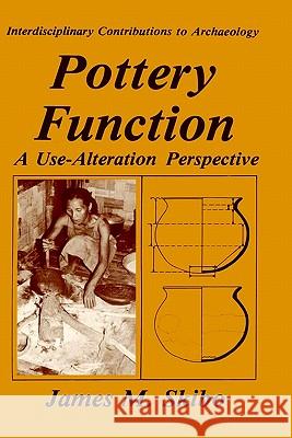 Pottery Function: A Use-Alteration Perspective Skibo, James M. 9780306441592 Springer