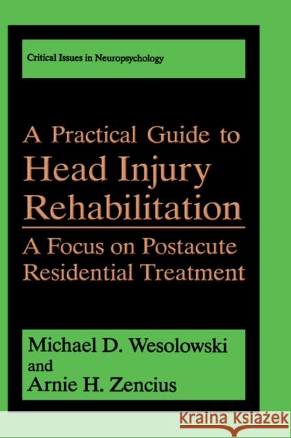 A Practical Guide to Head Injury Rehabilitation: A Focus on Postacute Residential Treatment Wesolowski, Michael D. 9780306444272 Springer