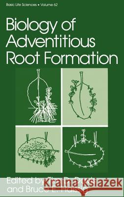 Biology of Adventitious Root Formation Tim D. Davis Bruce E. Haissig 9780306446276 Springer