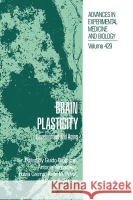 Brain Plasticity: Development and Aging Filogamo, Guido 9780306457654 Kluwer Academic Publishers