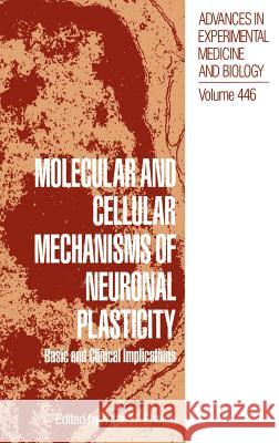 Molecular and Cellular Mechanisms of Neuronal Plasticity: Basic and Clinical Implications Ehrlich, Yigal H. 9780306460401