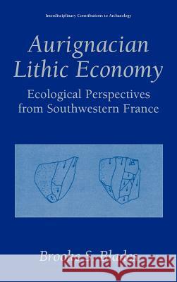 Aurignacian Lithic Economy: Ecological Perspectives from Southwestern France Dibble, Harold 9780306463341