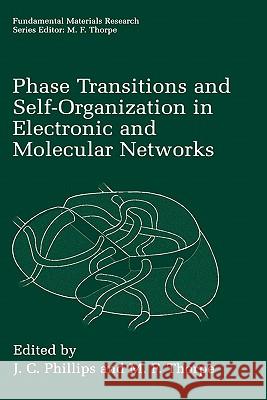 Phase Transitions and Self-Organization in Electronic and Molecular Networks J. C. Phillips M. F. Thorpe J. C. Phillips 9780306465680 Plenum Publishing Corporation