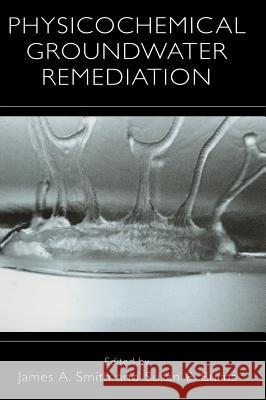 Physicochemical Groundwater Remediation James A. Smith James A. Smith Susan E. Burns 9780306465697