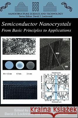 Semiconductor Nanocrystals: From Basic Principles to Applications Efros, Alexander L. 9780306477515 Plenum Publishing Corporation