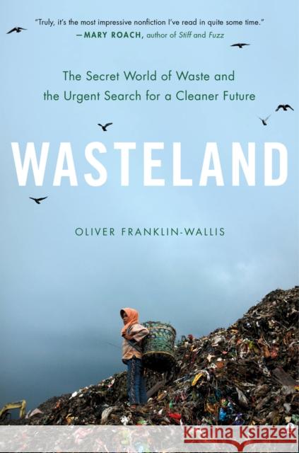 Wasteland: The Secret World of Waste and the Urgent Search for a Cleaner Future Franklin-Wallis, Oliver 9780306827112 Hachette Books
