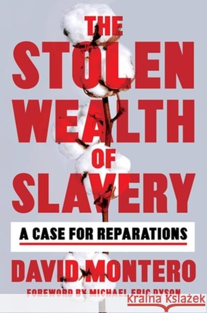 The Stolen Wealth of Slavery David Montero 9780306827174 Hachette Books
