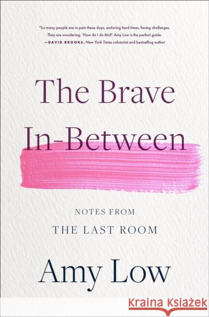 The Brave In-Between: Notes from the Last Room Amy Low 9780306831799 Hachette Books
