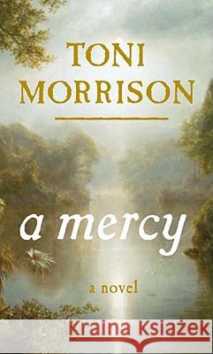 A Mercy Morrison, Toni 9780307264237