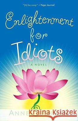 Enlightenment for Idiots Anne Cushman 9780307381651 Three Rivers Press (CA)