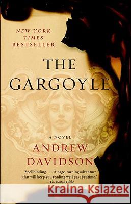 The Gargoyle Andrew Davidson 9780307388674