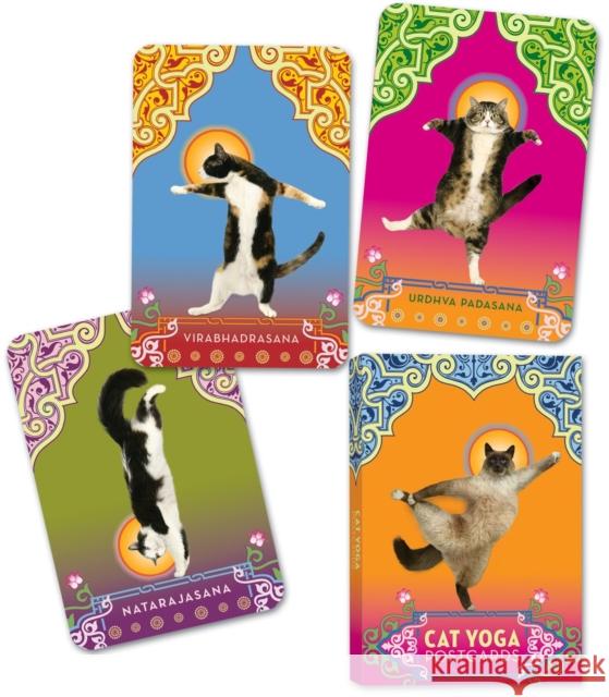 Cat Yoga Postcards Rick Tillotson 9780307395429 Potter Style
