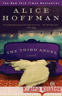 The Third Angel Alice Hoffman 9780307405951