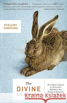 The Divine Life of Animals: One Man's Quest to Discover Whether the Souls of Animals Live on Ptolemy Tompkins 9780307451330
