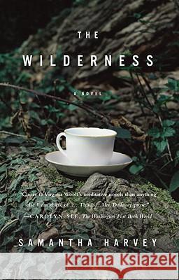 The Wilderness Samantha Harvey 9780307454775