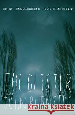 The Glister John Burnside 9780307455338