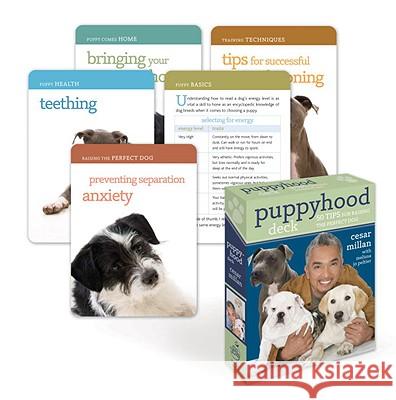 Puppyhood Deck: 50 Tips for Raising the Perfect Dog Cesar Millan 9780307463487 Potter Style
